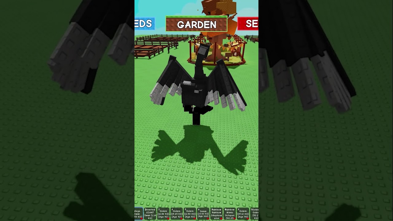 ЧЁРНЫЙ ЛЕБЕДЬ против ПЕРЕВЕРНУТОГО ЛЕБЕДЯ: разница между ними, Grow a Garden ROBLOX 
