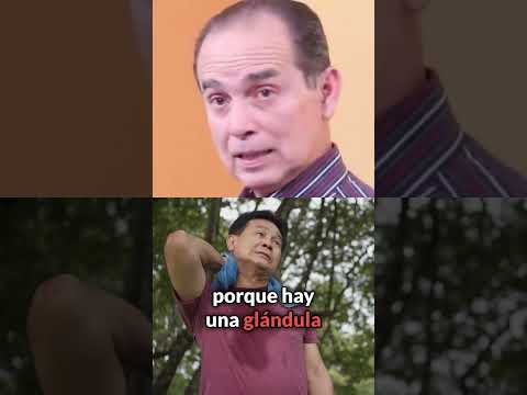 Lo que no