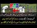 Virat Kohli is Shouting Over Wrong DRS Decision on Stumps Against Umpire