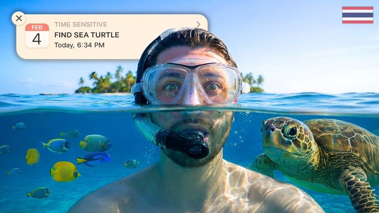 Hunting For Sea Turtles in Koh Tao!