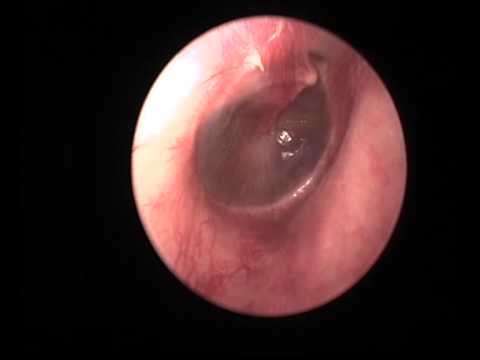 Dr.