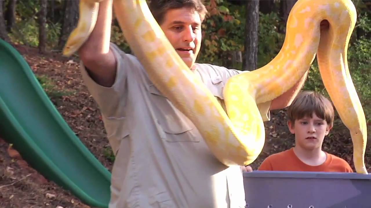 Atlanta Kids Birthday Parties - My Reptile Guys - YouTube