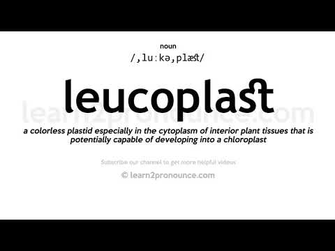 ការបញ្ចេញសំឡេងនៃការ Leucoplast | និយមន័យនៃ Leucoplast