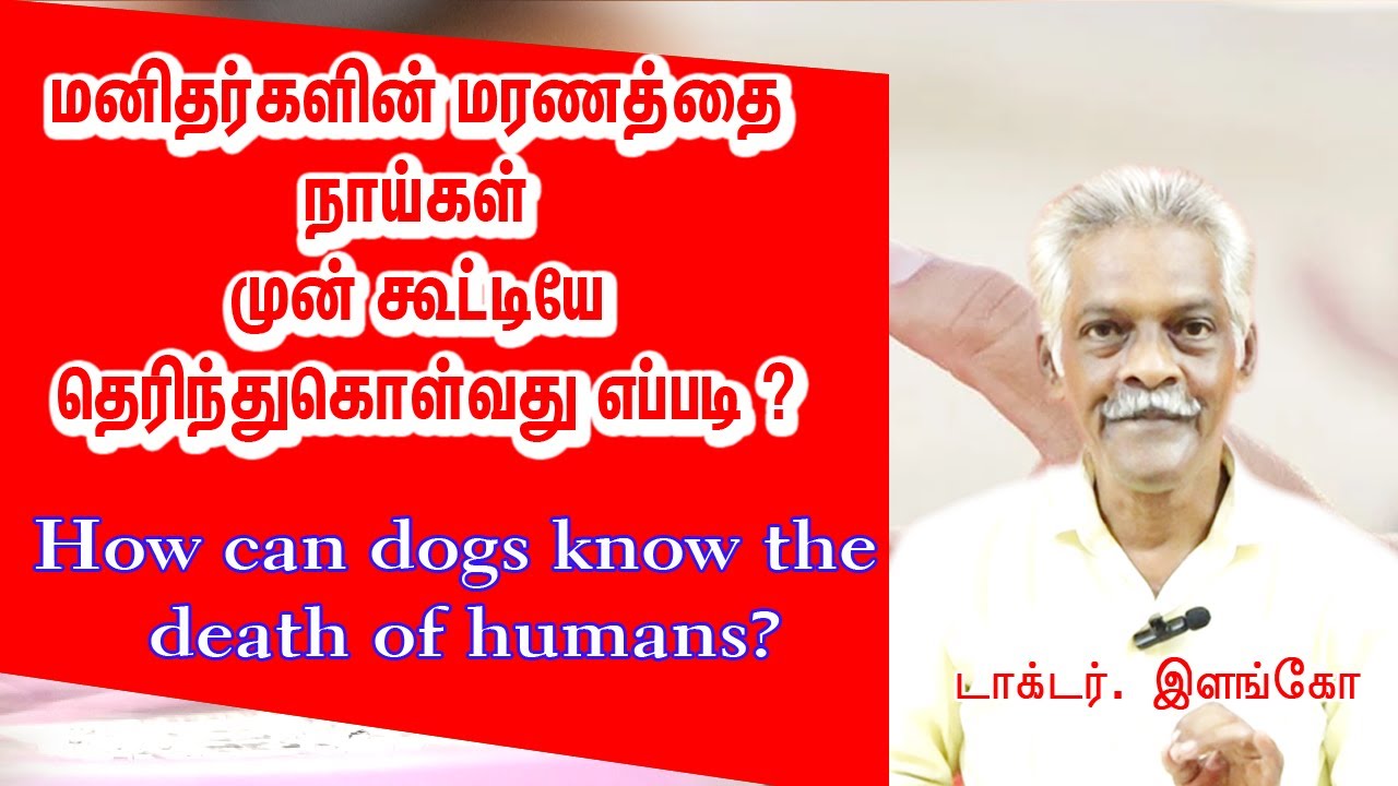 76. How can dogs know the death of humans?