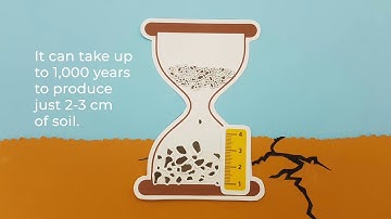 Stop soil erosion, keep soil where it belongs!