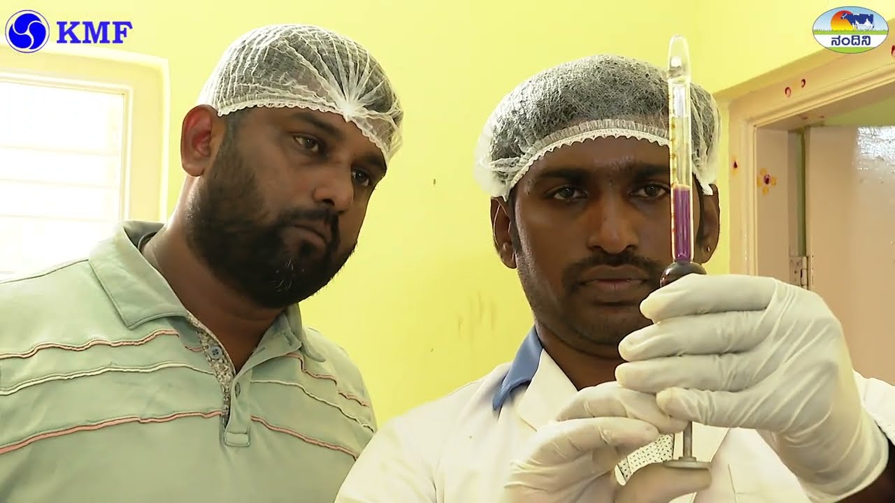 KMF | NANDINI | "From Cow to Customer: Nandini Milk Collection, Processing & Product Excellence!"