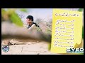 Shah Jan Dawoodi New Song Album 5 2019