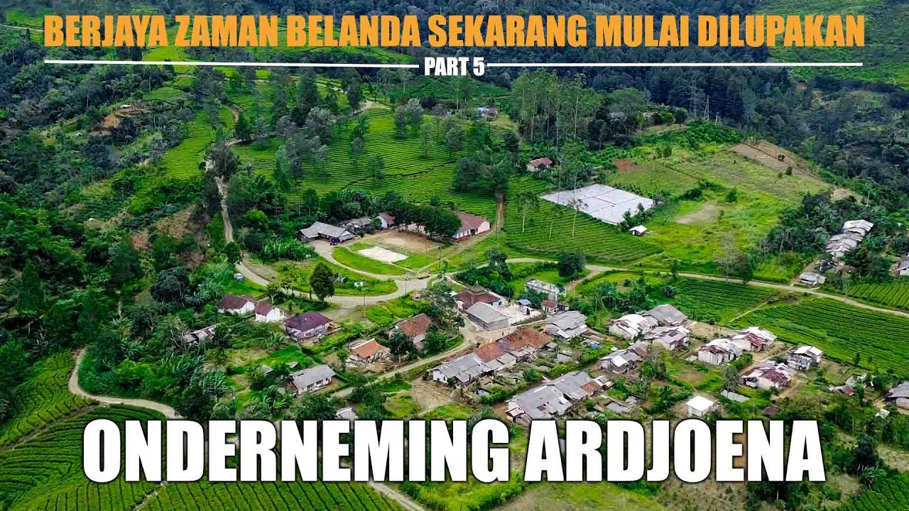 Perkebunan teh Arjuna area penyambung antara Pangalengan - Garut