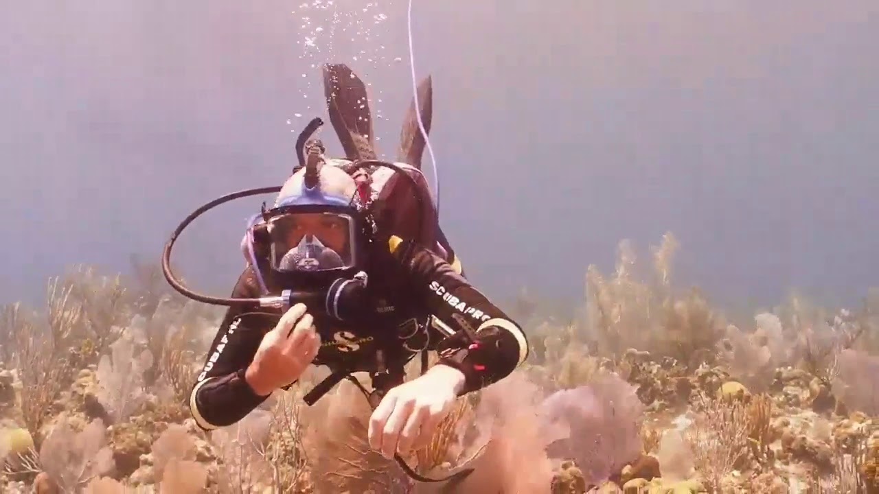 Reefs Go Live: Coral Reef Biodiversity