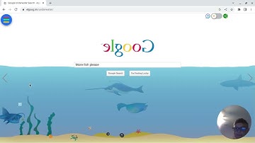 CHECK OUT THESE AMAZING GOOGLE TRICKS!!! elgoog.im