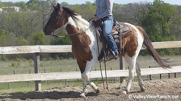 J R Smart Olena Moore***For info, price, etc., go to our website*** Valley View Ranch