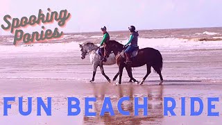 Beach Day with a lot of Spooking | Bella can rein back when she needs too