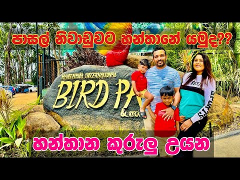 මගේ පුංචි පවුලත් එක්ක කුරුල්ලෝ බලන්න ගියා | හන්තාන Bird Park #theekshana #travel #srilanka