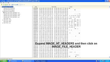 MAAT Assignment Basic Static Analysis - Lim Hong Xuan & Nicole Tan