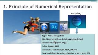 01 ch01 numerical representation