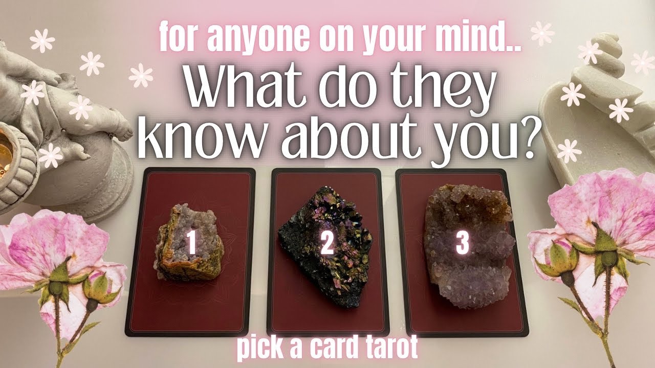 Pick A Card ੈ✩‧ What Do They Know About You? person/love/ex/friend (Timeless Tarot Reading)