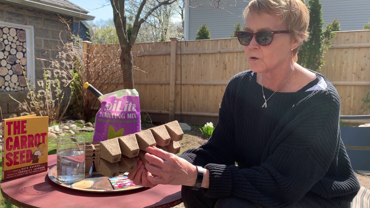 Let's Grow Flowers YouTube