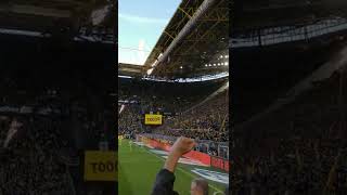 GOOOAL! Borussia Dortmund 1:0 VfL Wolfsburg. 24' Rothe