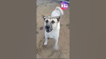 Gặp đúng cao thủ rồi 🤣 #yeuluofficial #shorts