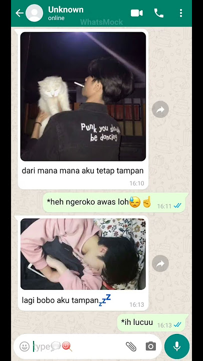 pov:cowo ga dikenal naksir sama aku🤔 ll fake chat ll ditrima hani gk ya?