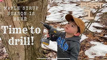 #64 Maple Syrup Season Is Here! Time To Drill 2022 part 1