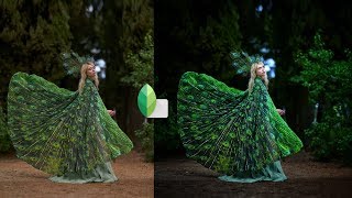 Snapseed Best Color Effect Editing Tricks 2019 | Best Color Effect App | Snapseed Photo Editing screenshot 3