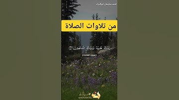 اهدنا الصراط المستقيم #احمد_سليمان_ابوالبراء #راحة_نفسية #اكسبلور #تلاوة #تيك_توك #دويتو #explore
