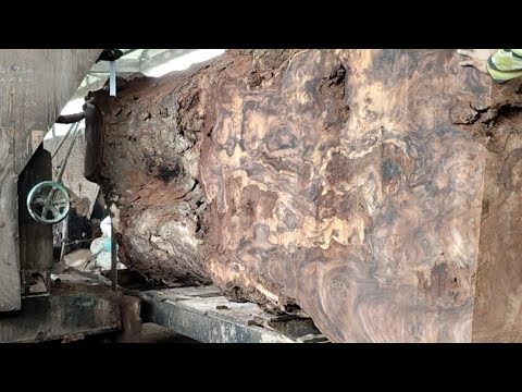 GIANT WOOD WITH THE MOST BEAUTIFUL SHADES!! Amazing Wood Cutting ...