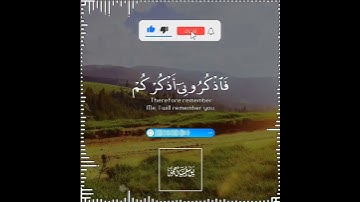 تلاوة هادئة تريح الأعصاب 😴🎧 القارئ: اسلام صبحى سورة: البقره 💙❤