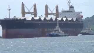 玉井商船｢NIKKEI VERDE｣