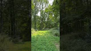 IMG 7460