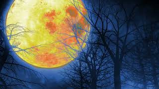 Full Moon in Fog Relaxing Halloween 4K Background Loop Night Sky