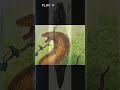🐍🇯🇵👀💙Tsuchinoko: La criatura japonesa que nadie ha podido capturar #viral #shorts