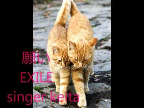 願い　EXILE　singer keita.