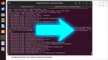 Kicking off a PulseChain Validator installation.