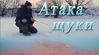 ПОДВОДНЫЕ  СЪЕМКИ !!! ЩУКА АТАКУЕТ ЖИВЦА смотреть без регистрации и смс!