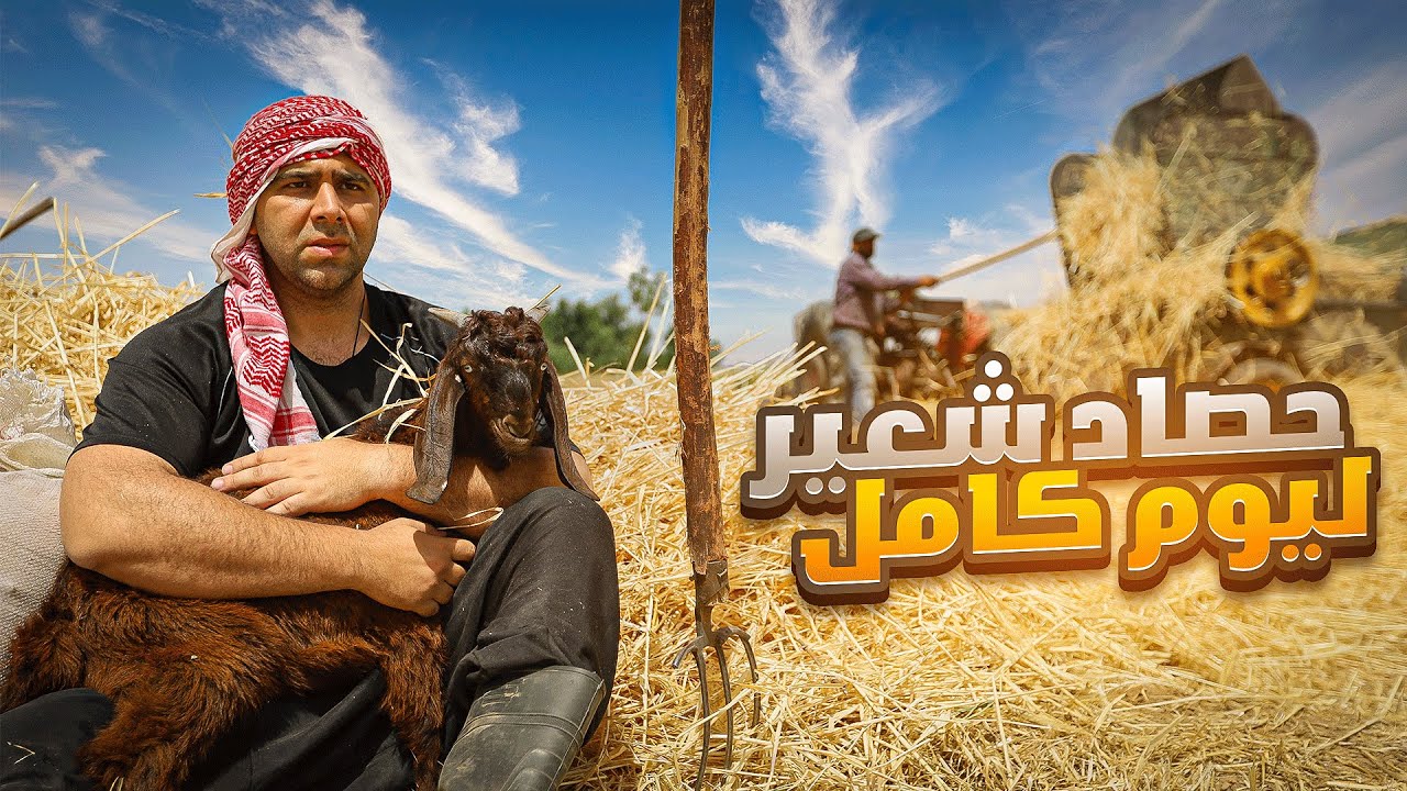 كيف الشعب السوري عايش🤔 ؟ حصاد الشعير 🇸🇾 الحلقة 22