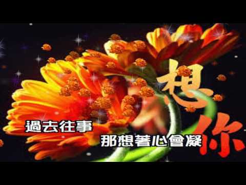 今夜又擱為你醉~艾重生