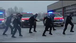 Jerusalema Dance Challenge by Swiss police   Policia  Police