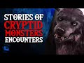 EVIL INCARNATE - TERRIFYING ENCOUNTERS AND SCARY STORIES OF CRYPTIDS AND MONSTERS - What Lurks Above