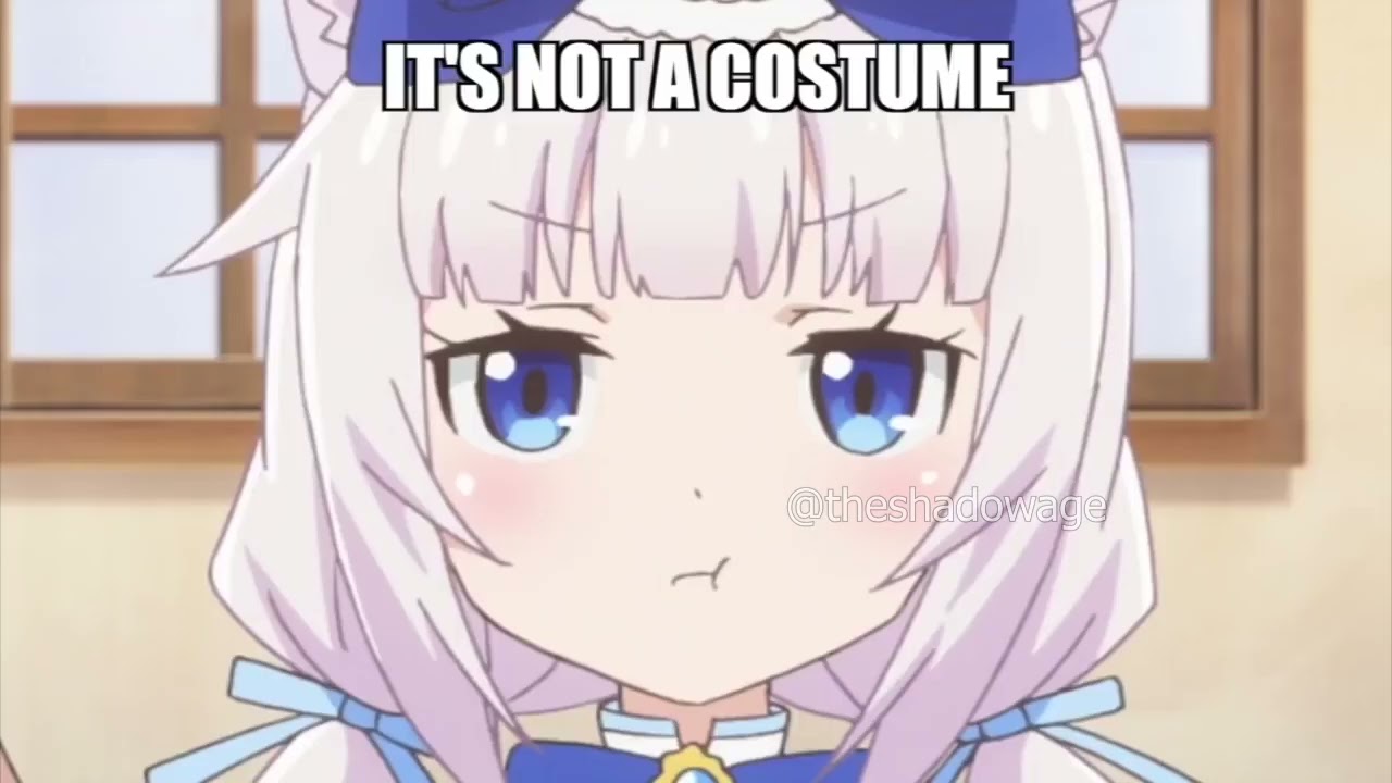 Engineer meets catgirl