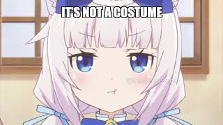 Engineer Meets Catgirl