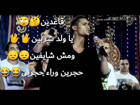 حالاتواتس قاعدين يلاوشاربين ومش شايفين شواحه