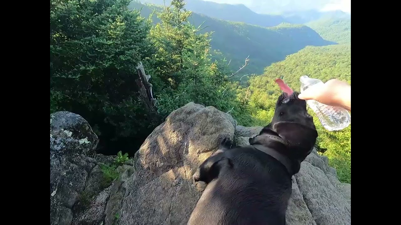 Beautiful Waterrock Knob Hike