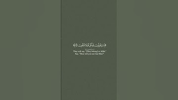 سورة المؤمنين: ياسر الدوسري                 #قران_كريم #قران #قرآن_كريم #قرآن
