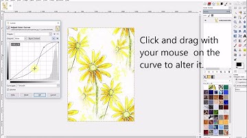 Video Demo: How to Use the Curves Filter in GIMP