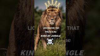 Lion Attitude   shorts trending viral shortsfeed lion lionking attitude scarface wgitachi