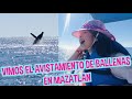 VIMOS EL AVISTAMIENTO DE BALLENAS EN MAZATLAN / LOS DESTRAMPADOS