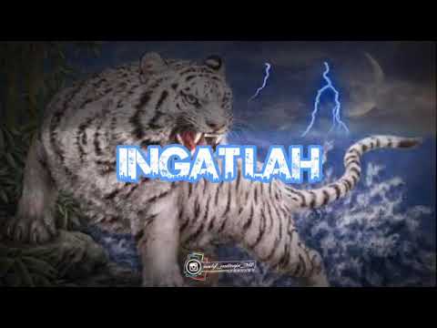 story WA khodam pagar nusa macan putih mengerikan🔥🔥
