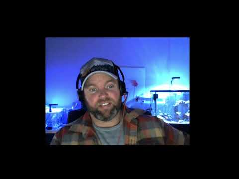 0.2 Learn Vault - Introduction to Vault